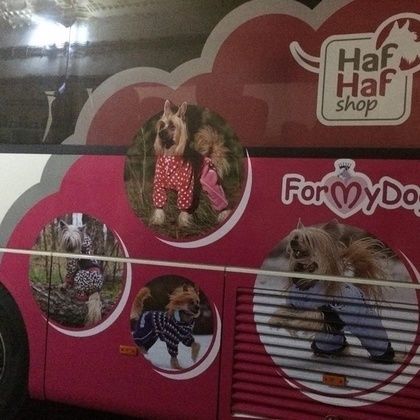 Hafhaf-BUS